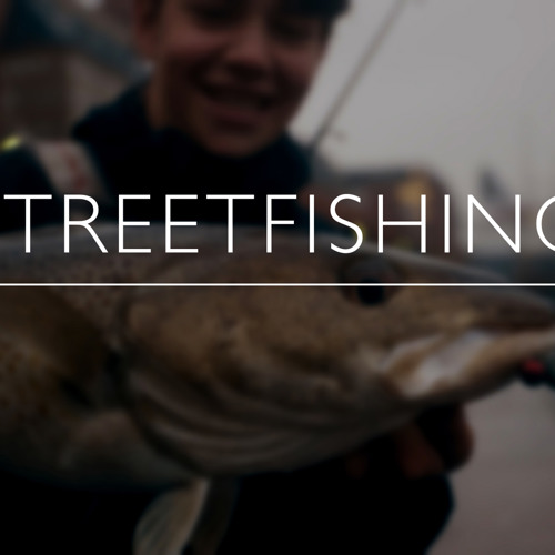 Streetfishing 1 1.3.1